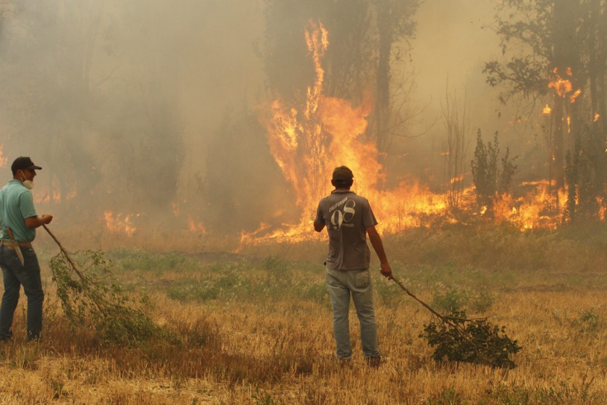 Fiscal A Habilita Correo De Denuncias Por Los Incendios En La Regi N