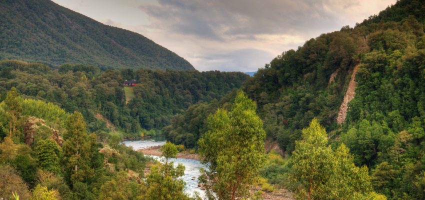 Turismo Rayen, el emprendimiento que rescata la esencia de Alto Biobío