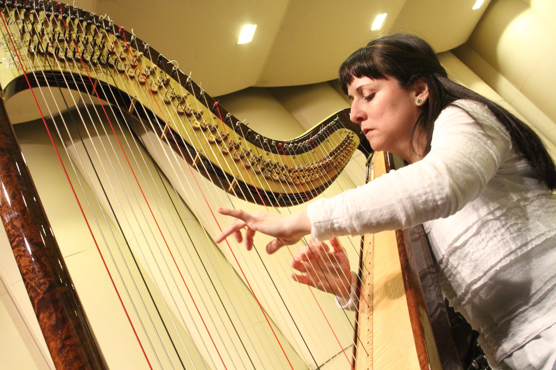 Patricia Reyes, la premiada arpista chilena que deleitará al público ...