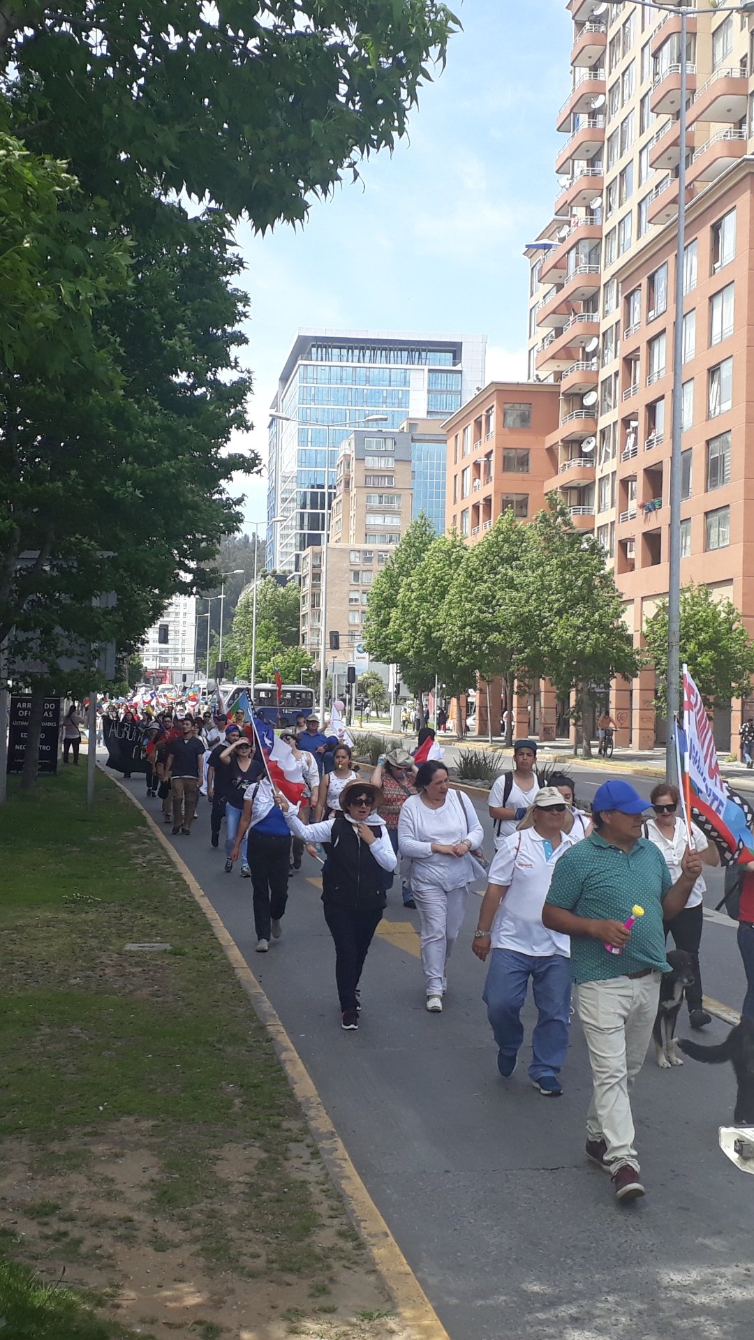 Comunidad escolar de Chiguayante se sumó a la manifestación del Colegio de Profesores en Concepción - TVU