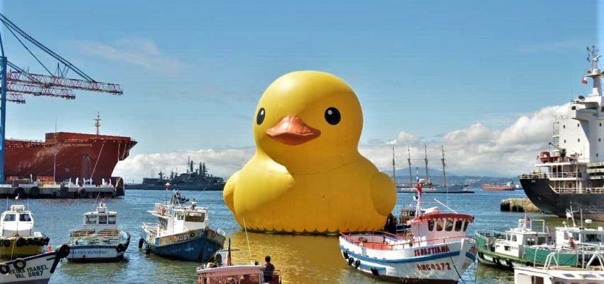 Un pato gigante navega por la paz