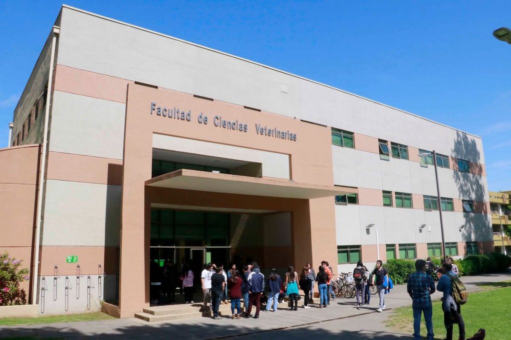 Representantes de Medicina Veterinaria UdeC participaron en congreso