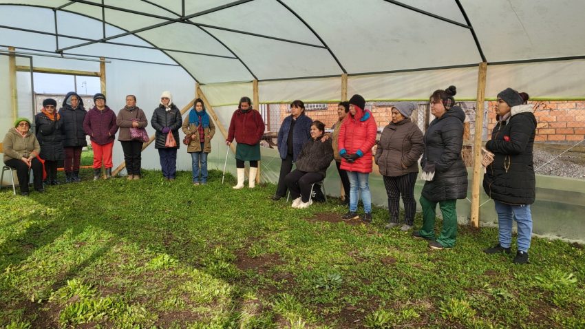 Villa Génesis residents learn to manage community greenhouse